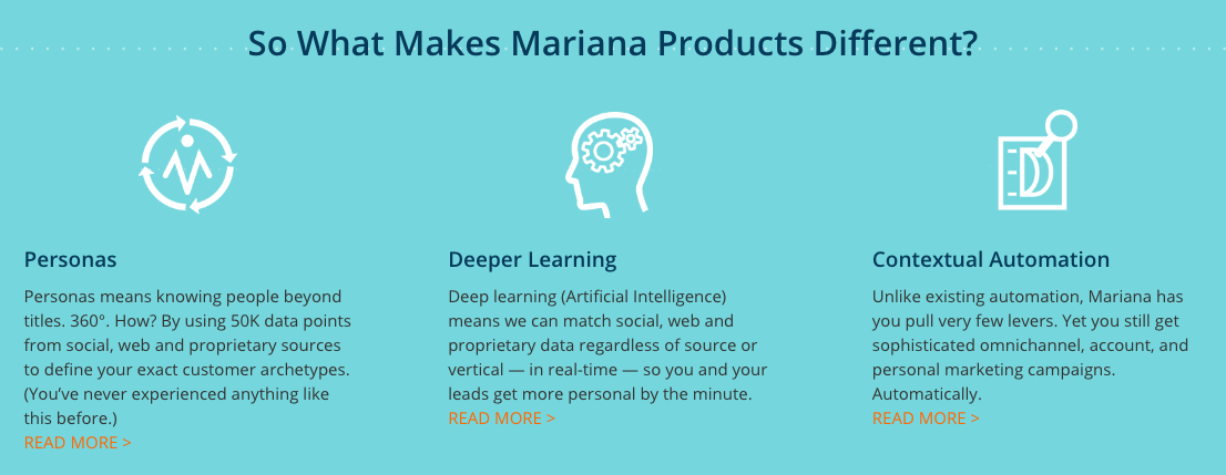 Machine Intelligence Mariana: What Makes Mariana Different